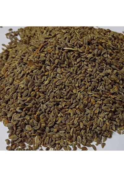 Tohum Maydanoz Tohumu 1 KG