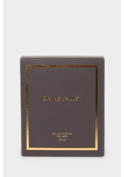 Defacto Erkek Odunsu 100 Ml Parfüm H4359axnsbr150