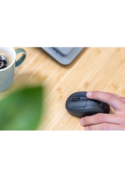 Trust 24796 Primo Kablosuz Mouse-mavi 8713439247961 Diğer