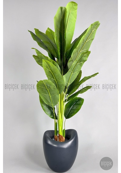 Biçiçek Yapay Muz Ağaci 210 Cm 4 Gövdeli̇ 21 Yaprak Antresi̇t Lale Saksıda