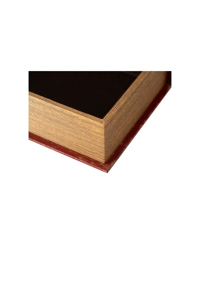 Mudo Home Vıctorıan Kitap Kutu 19x5x27 Cm