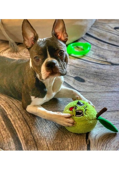 Havhav Haşarı Yeşil Elma Peluş Köpek Oyuncağı