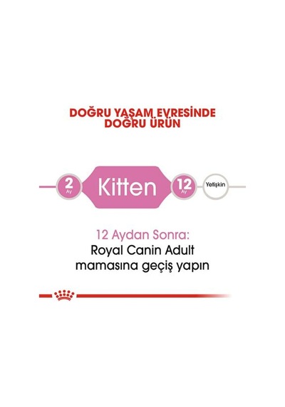 Kitten Yavru Kedi Maması - 10 Kg