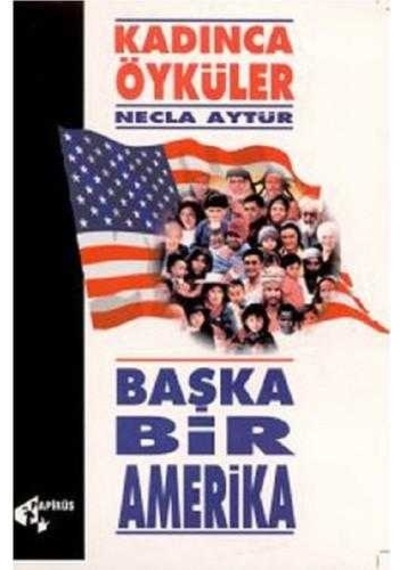 Başka Bir Amerika Kadınca Öyküler - Necla Aytür