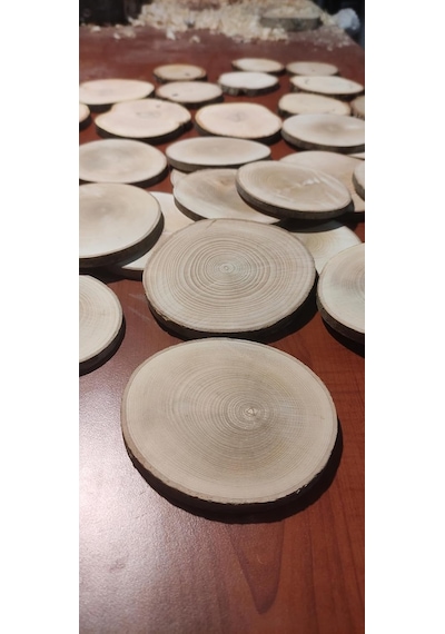 Oduncudünyası 6-7 Cm 10 Adet Doğal Ahşap Odun Kütük Dilimi Dişbudak