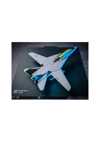 F-14 Tomcat Uçak Maket Kit Card