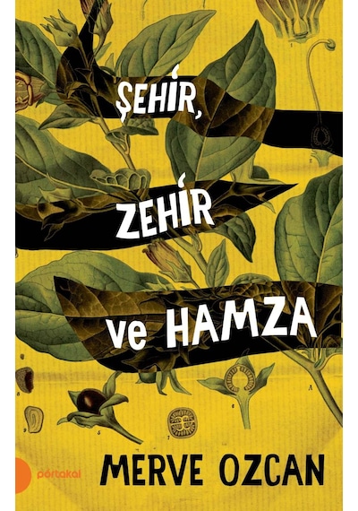 Şehir Zehir Ve Hamza - Merve Özcan -  Portakal Kitap