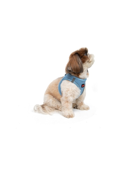 Air-Mesh Küçük ve Orta Irk Kedi Köpek Göğüs Tasması - Yumuşak, Nefes Alabilir, Dayanıklı MAVİ L