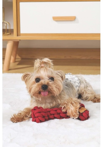 M-pets Coto Red Bone 19cm Örgü Kemik Oyuncak
