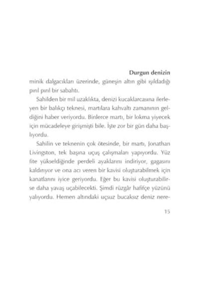 Martı Jonathan Livingston