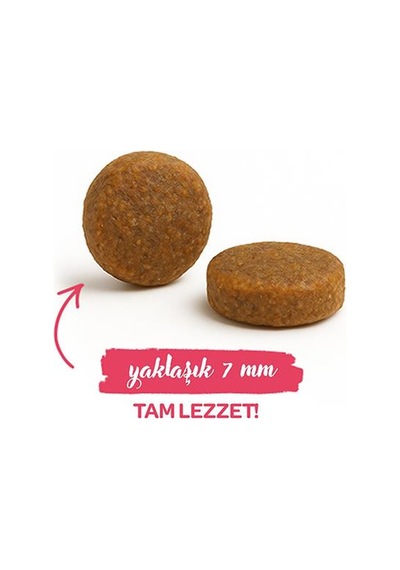 Sanabelle Life Tavuklu Ve Yaban Mersinli Yetişkin Kuru Kedi Maması 400 Gr