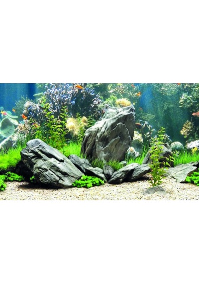 Kanki Pet Kp8550034 Akvaryum Arka Fon Yapıştırma 85 X 50 Cm