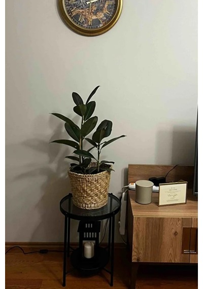Nordic Yan Sehpa Temperli Cam 40 Cm Demonte Çizilmez Kırılmaz Metal Çerçeve Raflı Minimalist Sehpa - Siyah Siyah