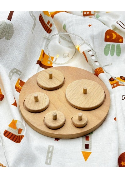 Montessori Geometrik Daire Bulmaca Ve Özel Eğitim Seti
