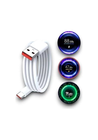 Home 120w Şarj Aleti