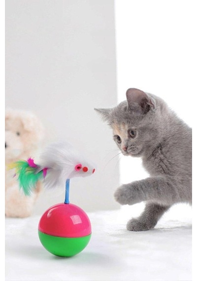 Kedi Oyun Topu Fareli Hacı Yatmaz Fareli Hacı Yatmaz