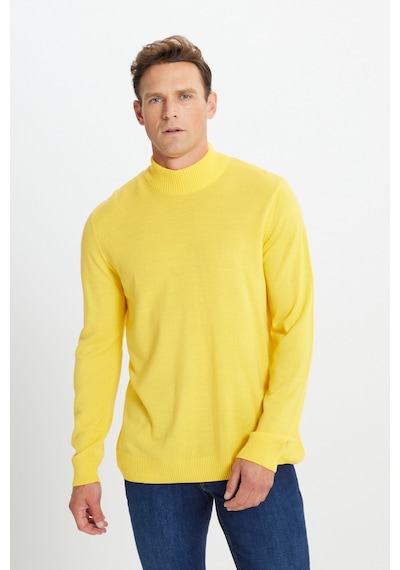 AC&Co / Altınyıldız Classics Erkek Sarı Standart Fit Normal Kesim Yarım Balıkçı Yaka Triko Sarı AC&Co / Altınyıldız Classics Erkek Sarı Standart Fit Normal Kesim Yarım Balıkçı Yaka Triko Sarı