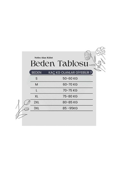 Nefes Alan 4'lü Kadın Bato Külot Paketi Nfskulot1 Beyaz