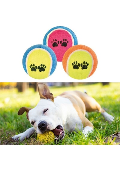 Buffer 3lü Renkli Desenli Tenis Topu Kedi Köpek Oyuncağı