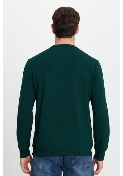 Tudors Erkek Relax Fit Rahat Kesim Uzun Kollu Ekstra Yumuşak Bisiklet Yaka Yeşil Sweatshirt-41873 Yeşil