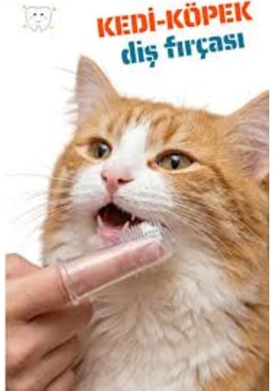 Kedi Ve Köpekler İçin Silikon Başlıklı Parmak Diş Fırçası
