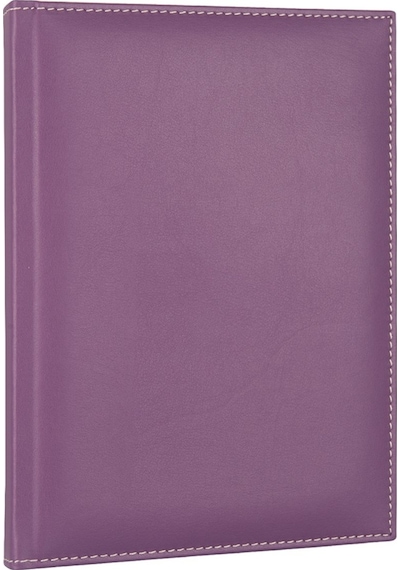 2K 2026 Yeni Yıl Deri Kapak Ajanda Defter Tarihli Çizgili 17x24 CM - Lila
