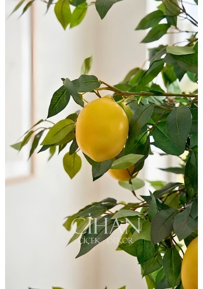 10 Limonlu Yapay Limon Ağacı 180 Cm Küre Saksılı Beyaz