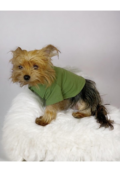 Grass Green Köpek Gömleği Köpek Kıyafeti Köpek Elbisesi