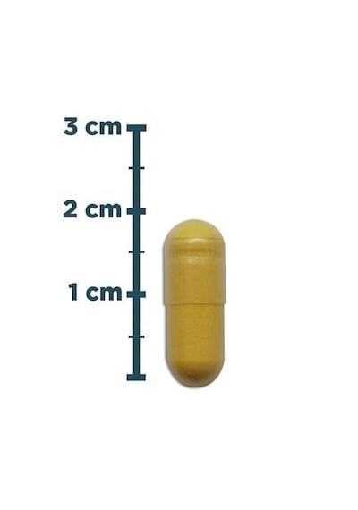 Natures Supreme Coenzyme Q10 100 Mg 60 Kapsül Aromasiz