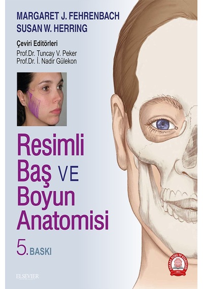 Resimli Baş Ve Boyun Anatomisi N11.549