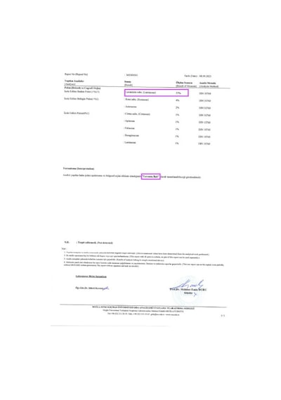Lavande Lavanta Çiftliği Saf Lavanta Balı 400 G