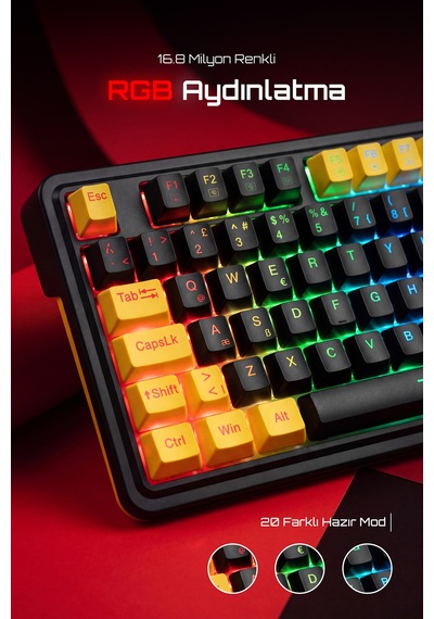 Redragon %75 Gasket Mekanik Switch Rgb Kablolu Oyuncu Klavyesi Sk-649