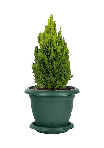So-d010 Damla Desen Tabaklı Saksı Takımı 25 Litre No:10 Yeşil 6 Adet