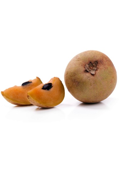 Sapodilla Fidanı 40 Cm 4 Yaş