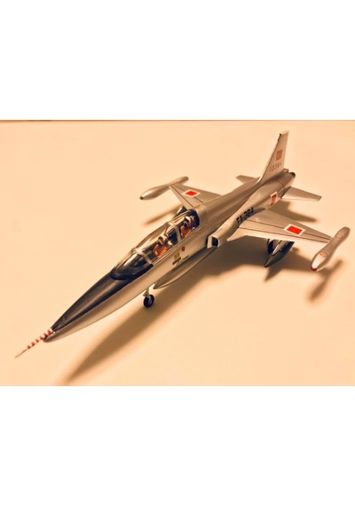 Northrop F-5 B Agressor Fighter Pm Model Demonte Plastik Uçak Maket Kiti