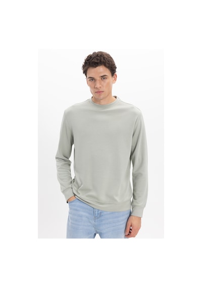 Tudors Erkek Standart Fit Normal Kesim Uzun Kollu Ekstra Soft Modal Kumaş Bisiklet Yaka Yeşil Sweatshirt-50211