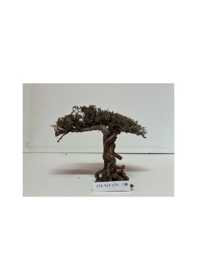 Moss Ağaç Figürü Kök No:178 20x20x17h
