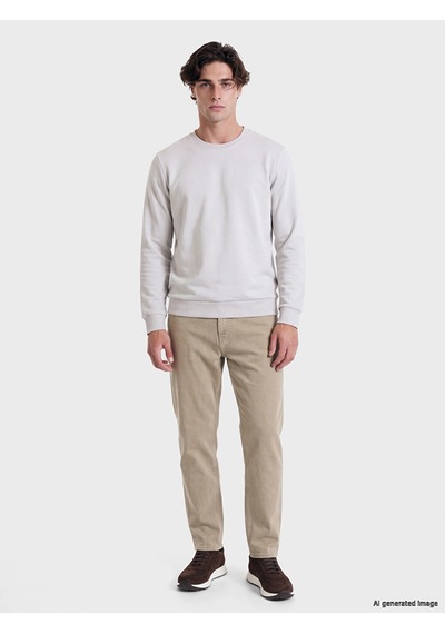 Lcwaıkıkı Classic Gri Bisiklet Yaka Erkek Kalın Sweatshirt