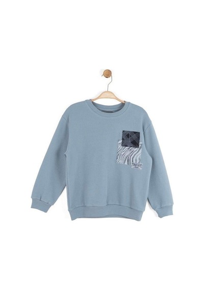 Zekids Erkek Çocuk Desenli Sweatshirt-16145 Gri
