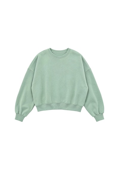 Hiccup Busem Bisiklet Yaka Sweatshirt Adaçayı Yeşili
