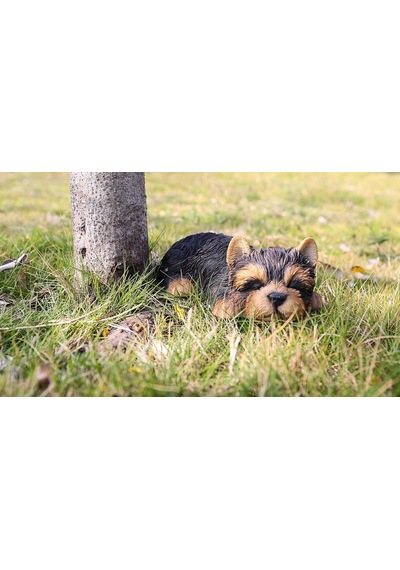Hi- 87710-m Yorkshire Terrier Köpek Uyuyan Evcil Hayvan Dostları Heykeli Siyah Diğer