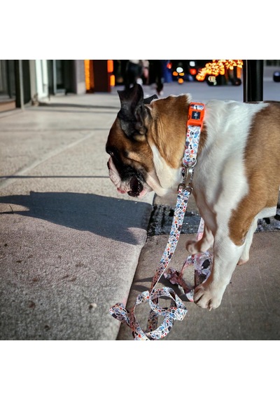 Recycled Köpek Gezdirme Kayışı, Gezdirme Kayışı Geri Dönüştürülmüş, Kadifemsi Dokulu, Çift Kilitli Karabina Kanca, 360 Dönüşlü, Dayanıklı, Bone Small