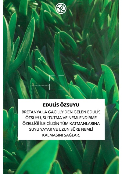 Yves Rocher Normal-kuru Cilt,aloe Vera&escin,jel Dokulu Göz Kremi-hydra Vegetal Bitkisel Nemlendirici Bakım-15ml