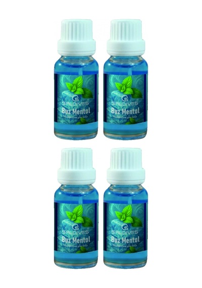 Buz Mentol 20 Ml 4 Adet