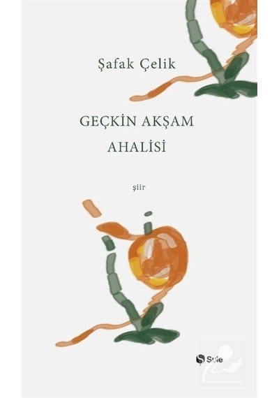Geçkin Akşam Ahalisi - Şafak Çelik - Şule Yayınları