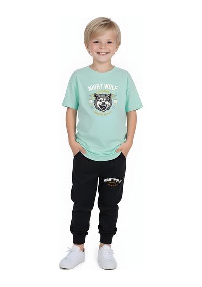Fyk Kids Erkek Çocuk Mevsimlik Nıght Wolf Baskılı Alt-üst Takım Mint Yeşil