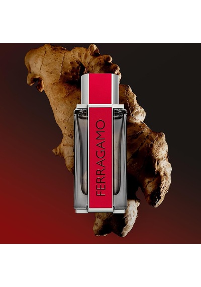 Salvatore Ferragamo Ferragamo Red Leather Eau De Parfum 100 Ml Erkek Parfüm, 5003155800 Diğer
