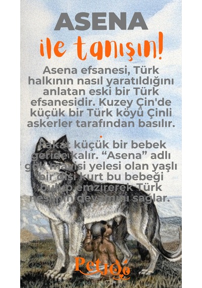 Petjoo 25.Asena Turuncu-Gri Qr'lı Köpek Künyesi