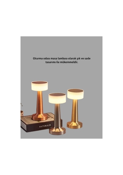 Dekoratif Masa Lambası Çok Rnekli