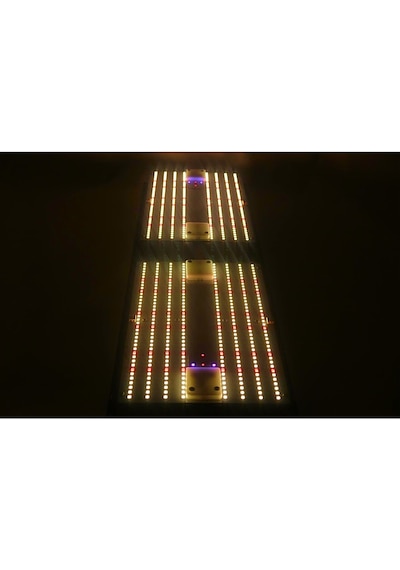 240w Lm283b Bitki Yetiştirme Lambası Full Spektrum